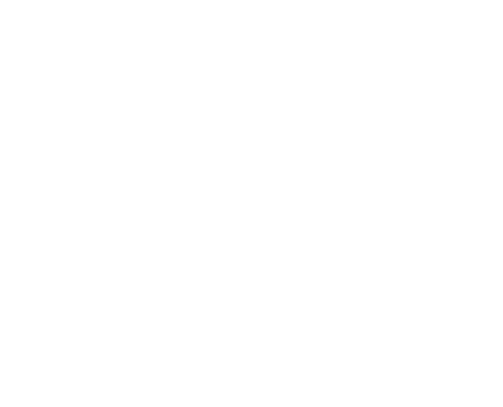 Transparent Judge Badge