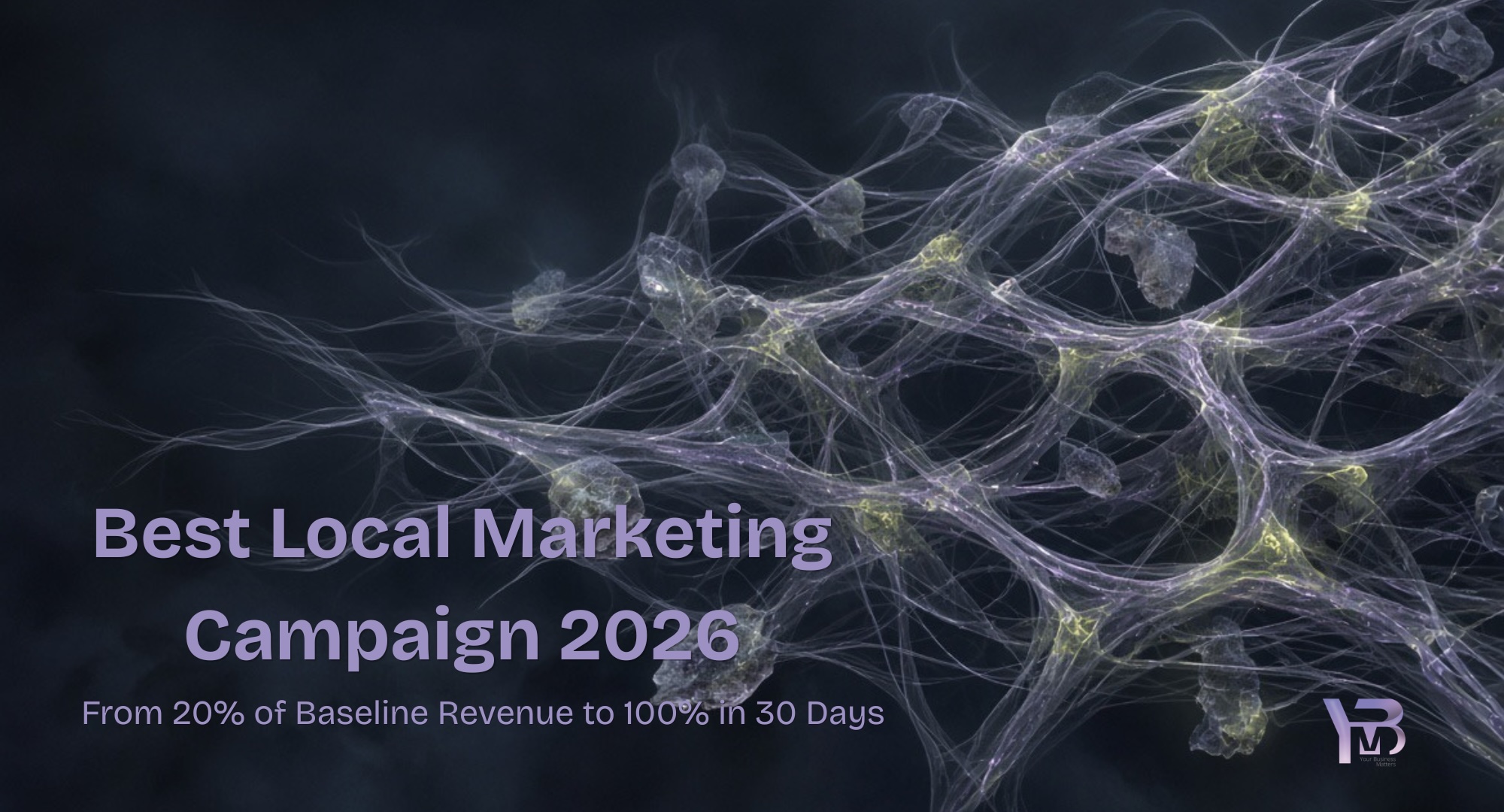 Image: Best Local Marketing Campaign 2026. From 20% of Baseline Revenue to 100% in 30 Days